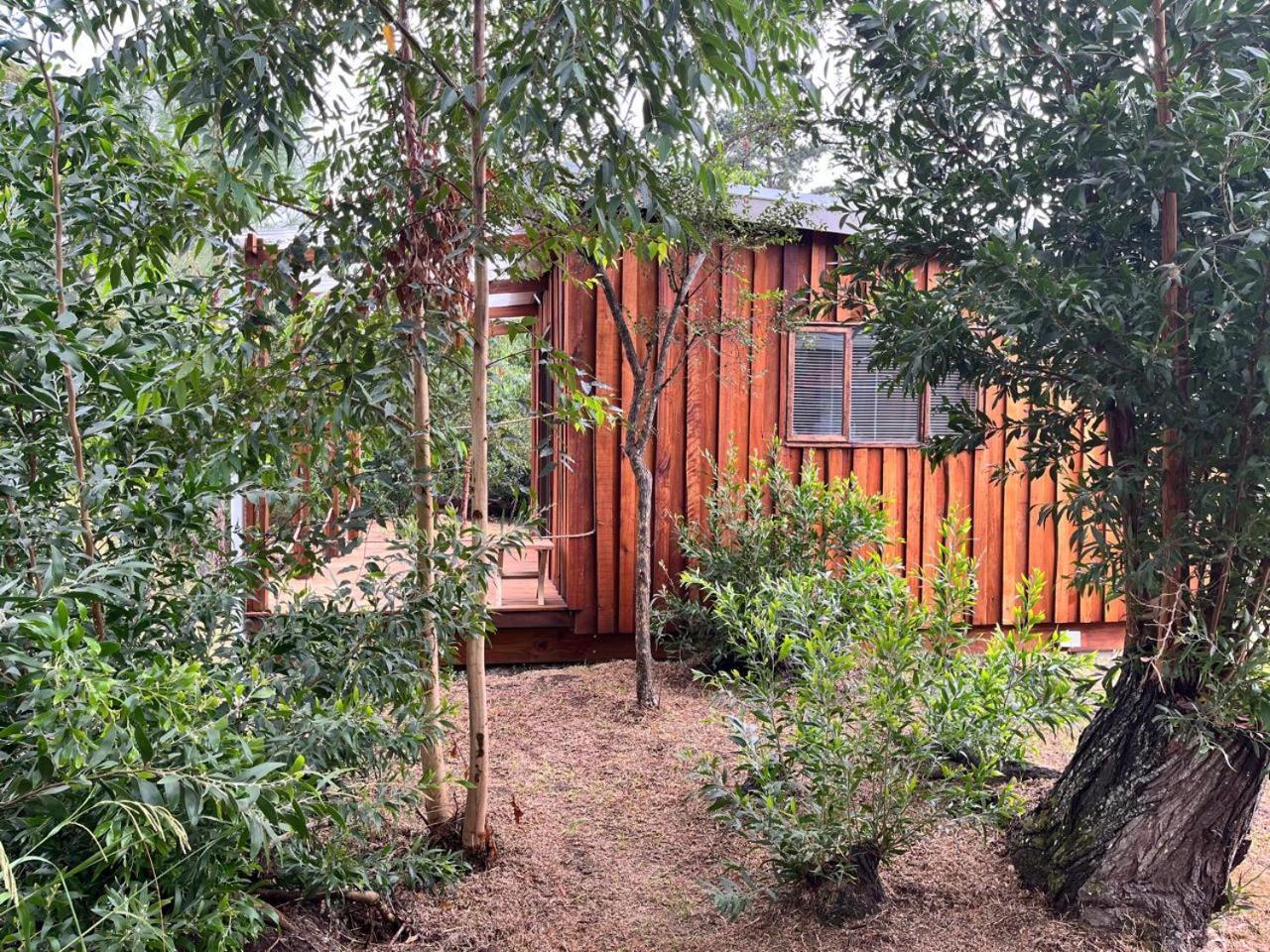 Forest Gate Resort Plettenberg Bay Εξωτερικό φωτογραφία