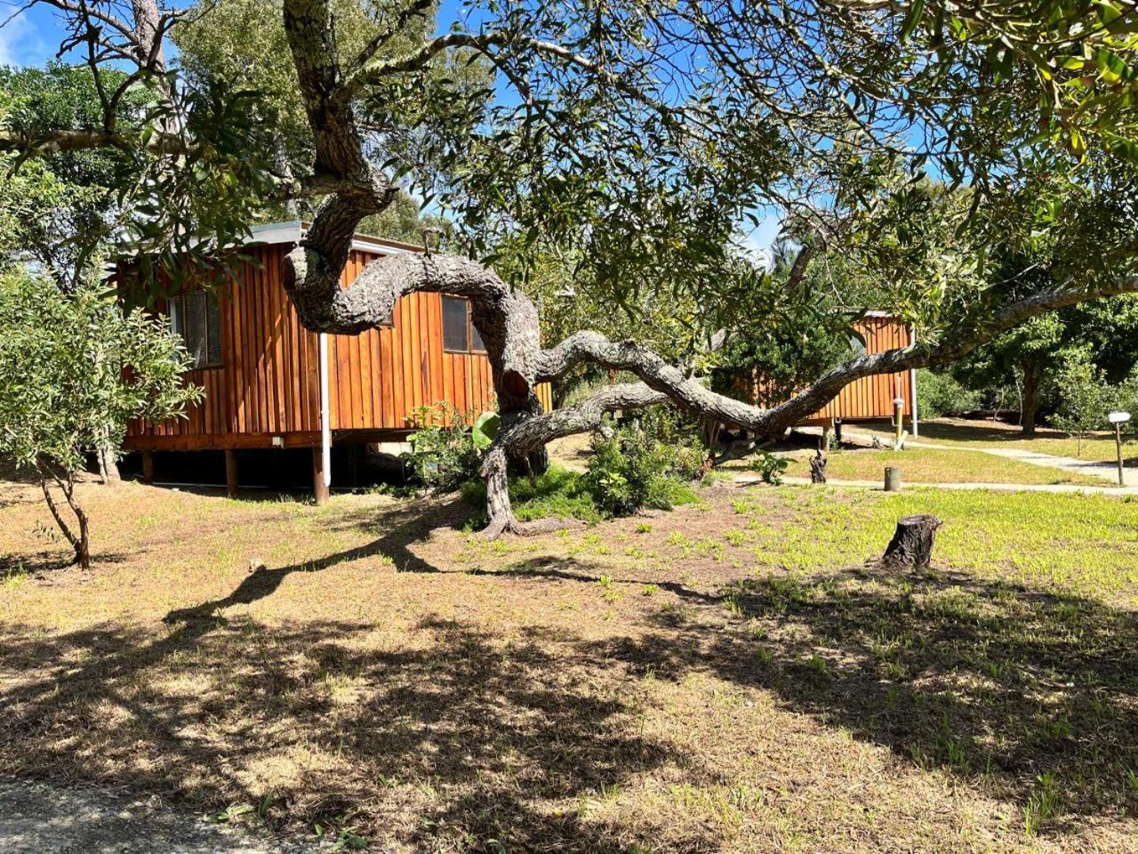 Forest Gate Resort Plettenberg Bay Εξωτερικό φωτογραφία