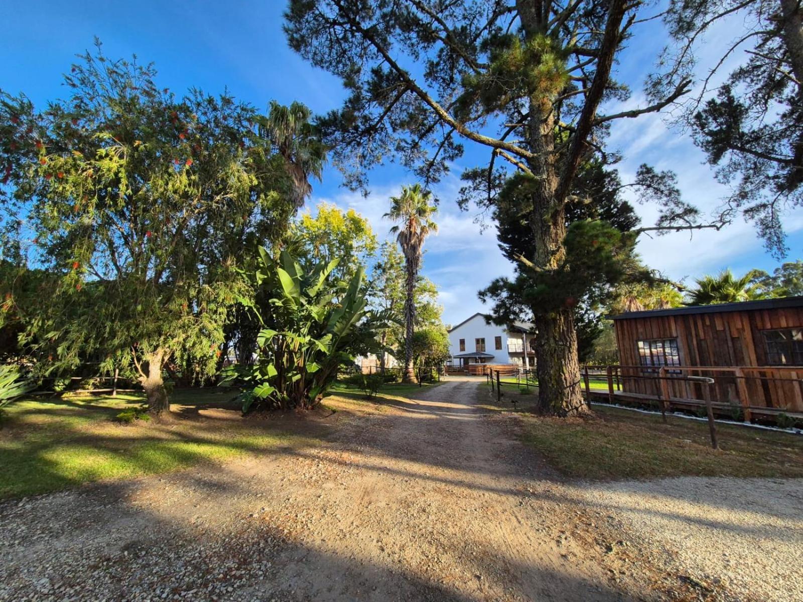 Forest Gate Resort Plettenberg Bay Εξωτερικό φωτογραφία